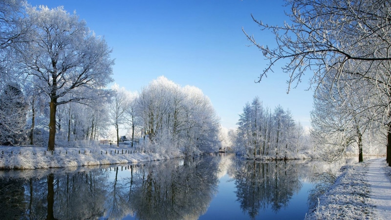 water, 1080P, trees, winter, 3d and abstract, covered, tree, blue, day, nature, snow, cold, leafless, s, photography, one, lake