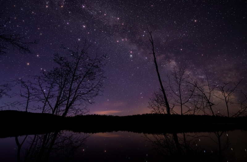 beauty in nature, scenic, universe, peaceful, constellation, outdoors, stars, space and astronomy, calm, astronomy, lake, scenery, night sky, leafless