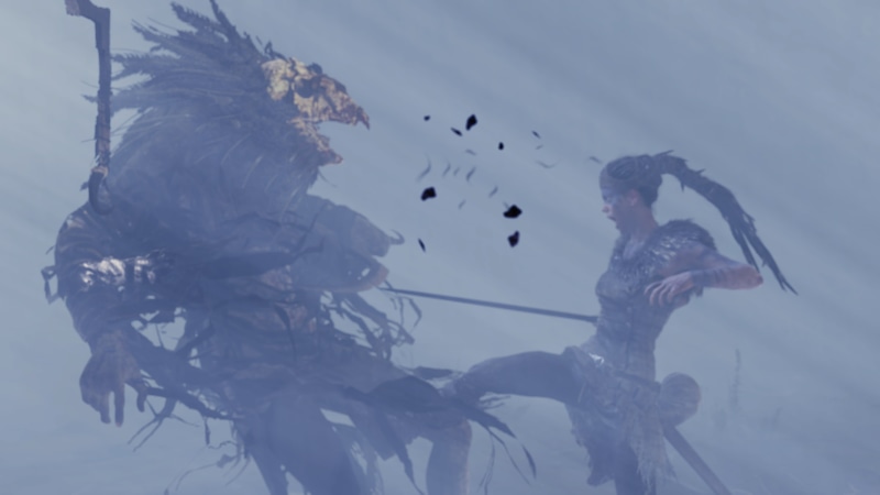 4K, Nvidia Ansel, vertebrate, lifestyles, bird, sky, one person, animals in the wild, outdoors, winter, women, Senua, nature, plant, Hellblade: Senuas Sacrifice