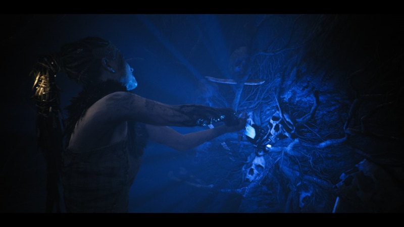 Hellblade: Senuas Sacrifice, Senua, Nvidia Ansel, 1080P, Hellblade