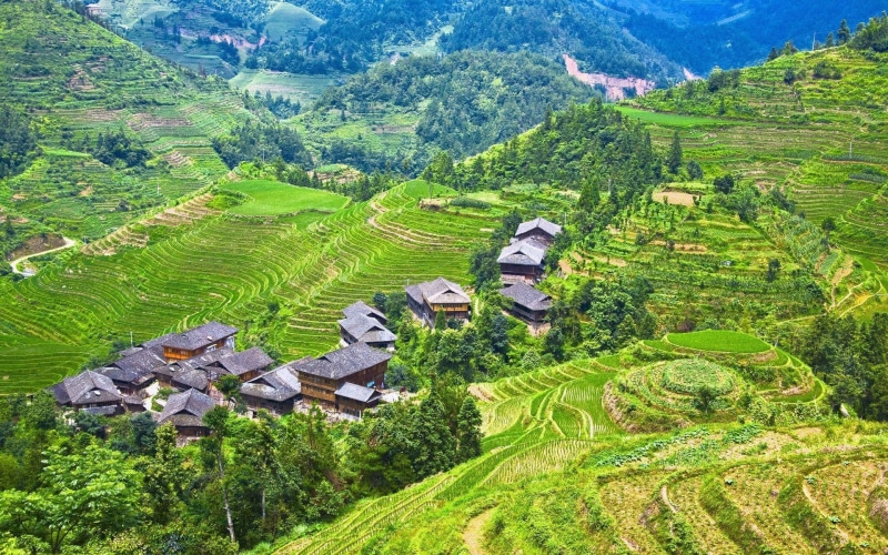 Guilin, Terraces, Longji, Fields, Rice, 1080P, China