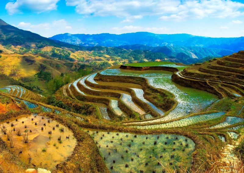 nature, rice - Cereal Plant, agriculture, longsheng, rural Scene, east Asian Culture, green, cloud - sky, rice, longji Tetian, vietnam, tropical Climate