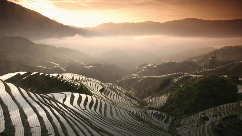 environment, morning, cloud - sky, travel Destinations, mountain Peak, mist, terraced Field, fog, landscape, no People, land, sunlight, hill, asia, field