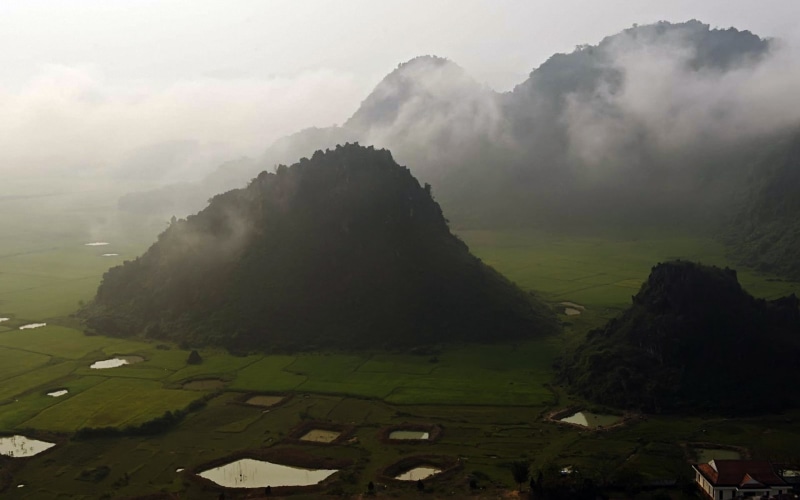 environment, china - East Asia, day, green, beauty In Nature, non-urban scene, tranquil scene, scenics, cultures, green Color, tree, morning, fog, asia