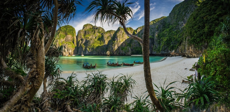 shrubs, morning, idyllic, tranquility, travel destinations, mountain, nature, sand, Thailand, turquoise colored, tree, white, limestone, outdoors, coconut palm tree