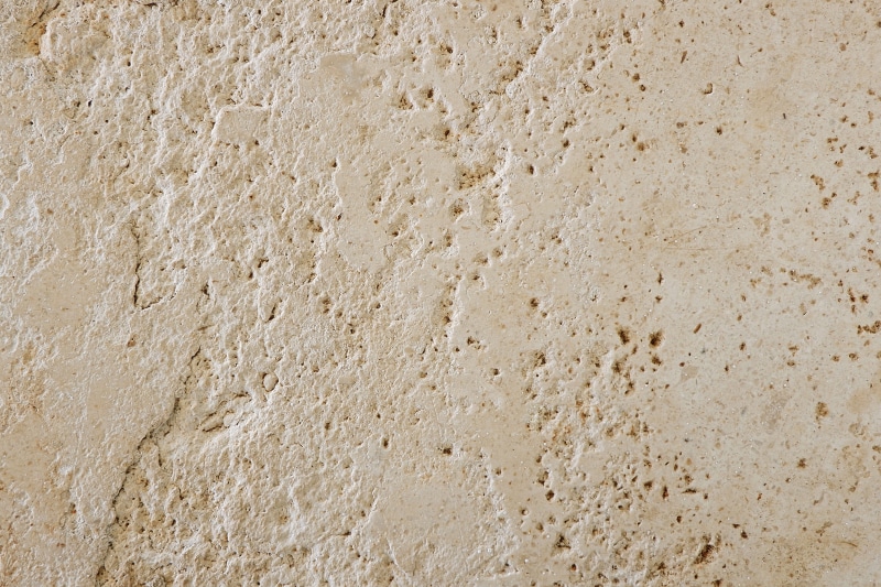 extreme close-up, hole, white color, abstract, nature, word, beige, built structure, quartz, ground, textured effect, invertebrate, bubble, wall - building feature