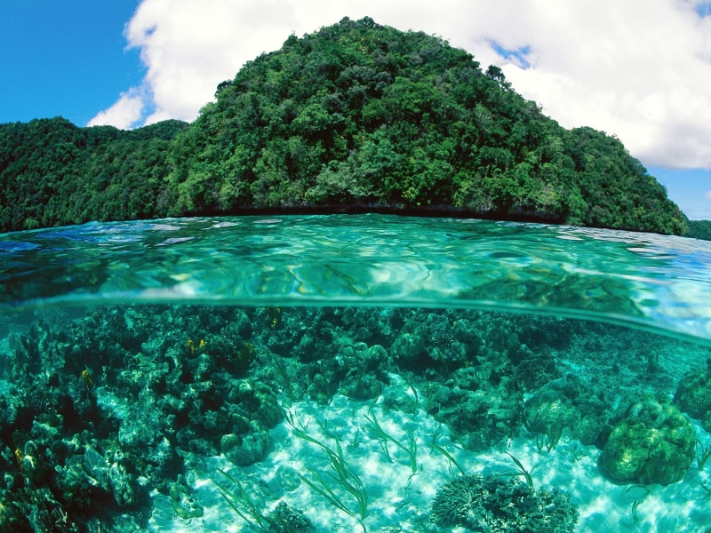 limestone, island, palau, 720P