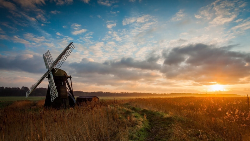 alternative energy, beauty in nature, land, sunset, plant, tranquil scene, non-urban scene, environmental conservation, brown, grass, windmill, skyscape