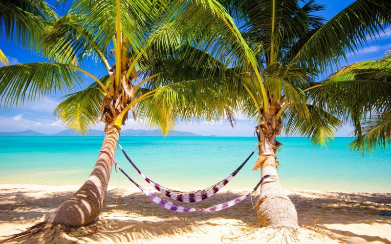 ocean, palm, palm trees, sand, hammocks, beach, tropics, 720P, trees