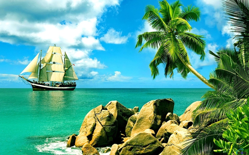 palm, landscape, trees, tropical, 2K, sea, rock, palm trees, boat