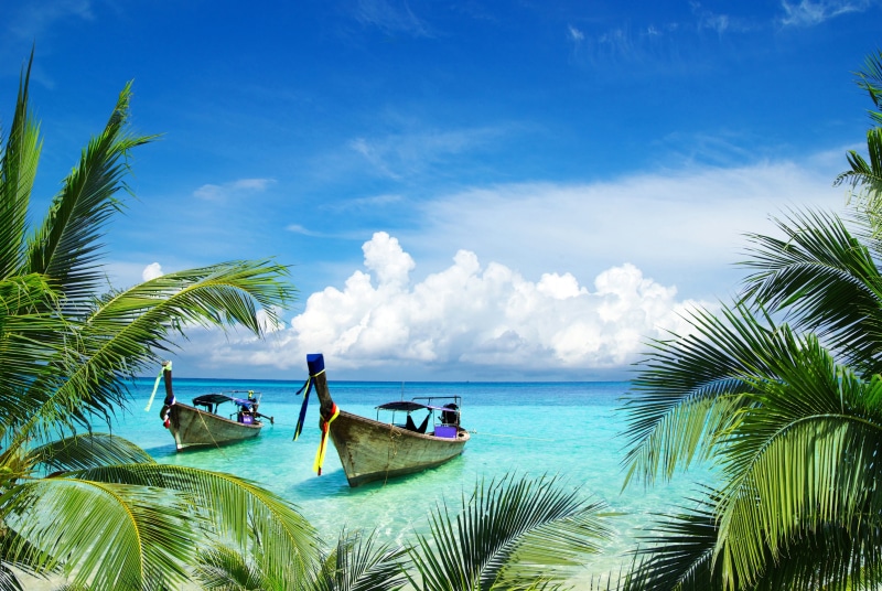 trees, leaves, water, beauty, palm trees, boats, 4K, sea, landscape, palm