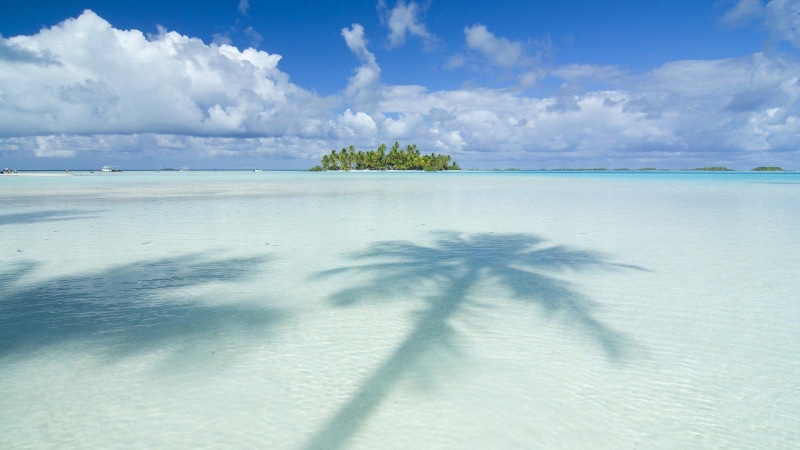 images, palm, 1080P, skyscapes, beaches, background, tahiti, clouds, nature, trees, islands, ocean