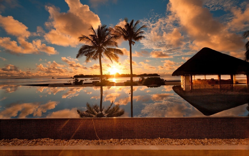Dusk, 1080P, Ocean, Scenery, Palm, Tree, House, Tropical