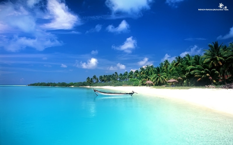 1080P, trees, beach, palm, nature, boat, hd, tropical