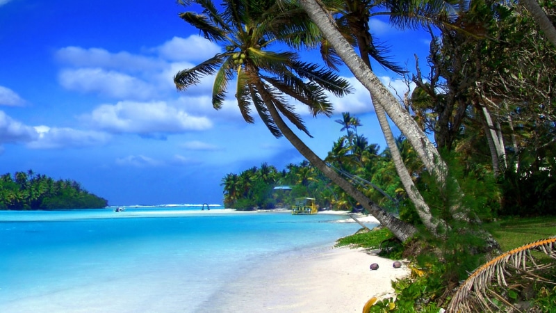 cayman, water, blue, landscape, palm, ocean, 2K, trees, islands, beach, tropical, green