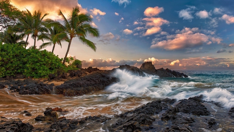 1080P, Hawaii, Beach, Maui, Rocks, Ocean, Trees, Palm, Quiet