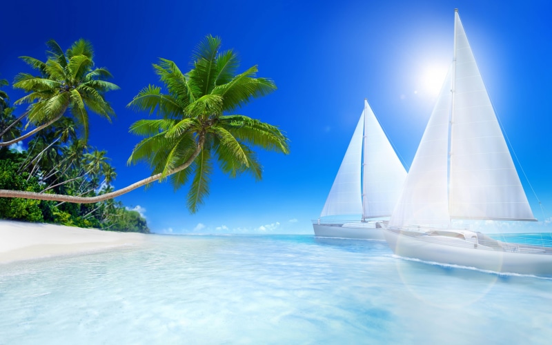 islands, ocean, palm tree, pool, vacations, tropical, land, tropical climate, travel, tree, beaches, transportation, outdoors, holiday, landscape
