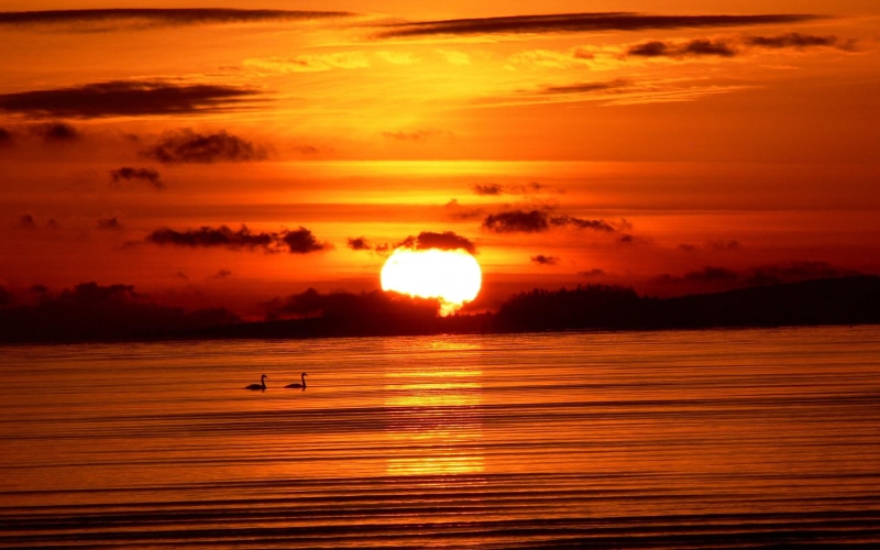 2K, resolution, sunset, high, pictures