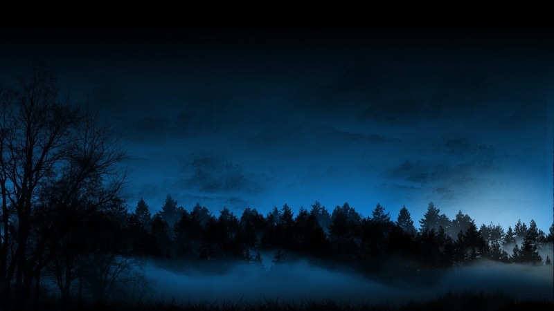 sky, mist, resolution, fog, 1080P, cg, forest, pictures, trees, blue, high, night