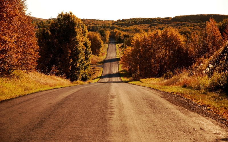 trees, 2K, landscapes, high, roads, pictures, skylines, resolution