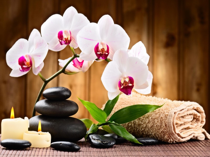 relax, flowers, pretty, pink, white, leaves, exotic, orchid, 1080P, beautiful, nice, lovely, orchids, stones, towel, spa, candle