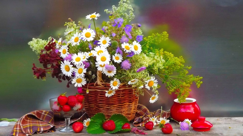 pretty, flowers, mood, strawberry, beautiful, freshness, nice, daisies, 1080P, lovely, still, fresh, fruits