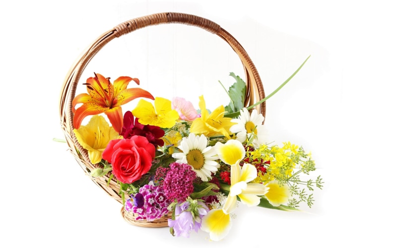 pretty, sweet, red, 2K, daisies, bella, flowers, basket, beauty, cockscomb, wicker, orange, rose, still life, colorful, lovely, lilies, rapeseed, bouquet