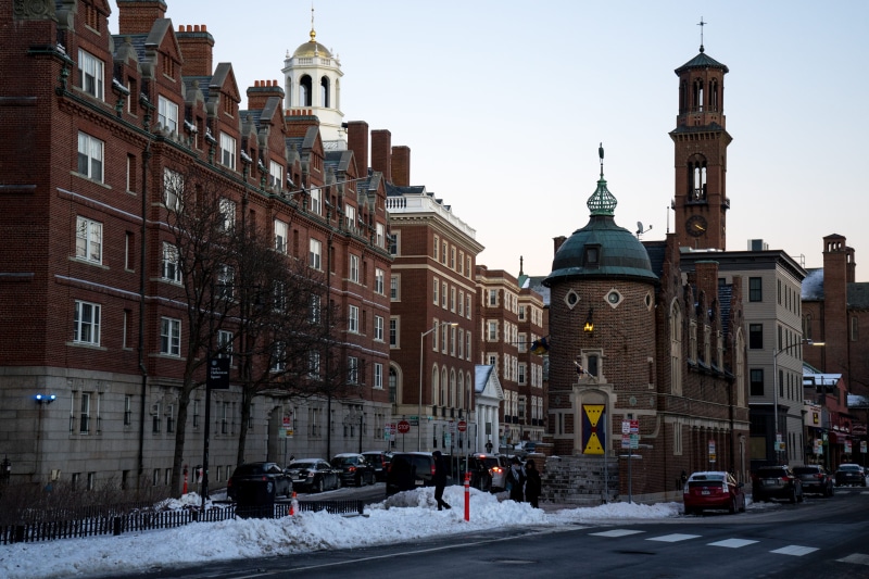 winter, no people, street, harvard, wonder, building, nature, car, architecture, road, built structure, christmas time, walk, sky, streetphotography, building exterior