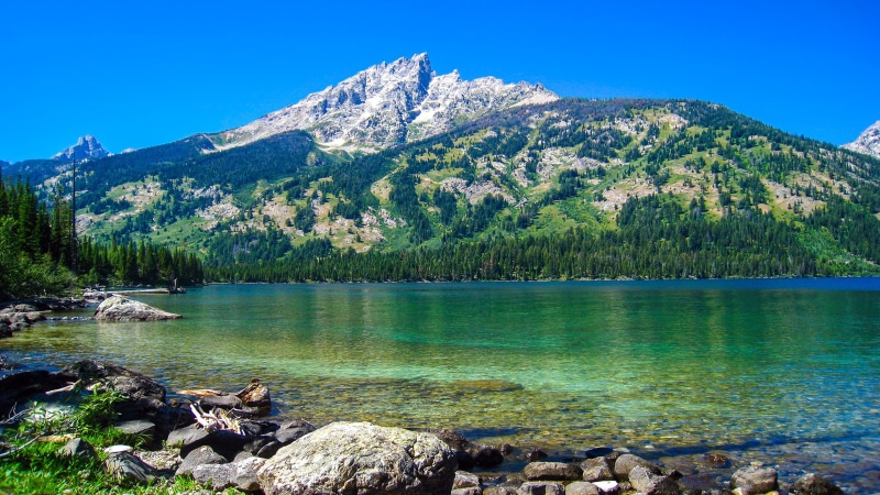pine trees, forest, clear sky, lake, nature, stones, water, trees, calm, clear, landscape, pine, sky, mountain, 2K