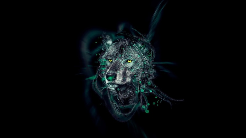 digital art, wolf, 1080P