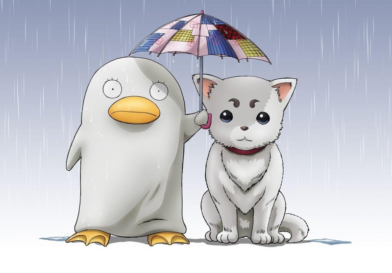 Sadaharu, mammal, Elizabeth (Gintama), simple background, white color, 720P, domestic, studio shot, indoors, vertebrate, no people, representation, savings