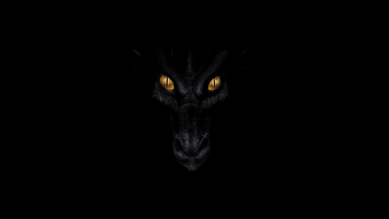 domestic cat, face, animal body part, 1080P, one animal, black color, dragon, cat, mammal, digital art, whisker, studio shot, animal head, domestic, no people