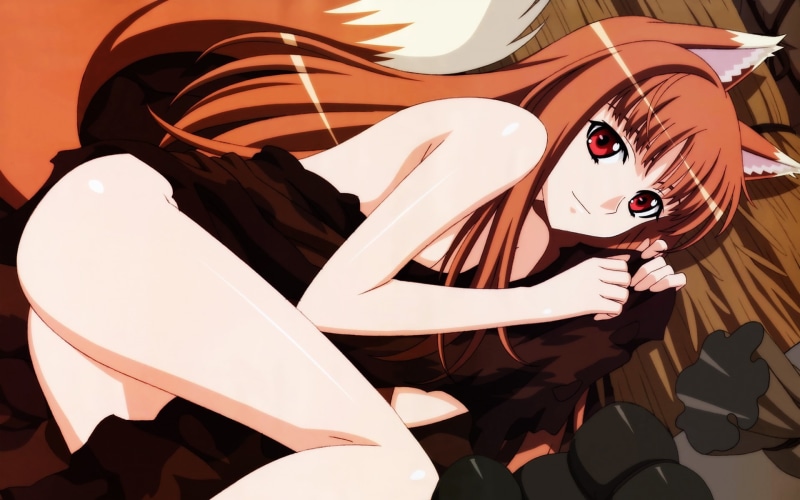 sexy anime, Spice And Wolf, anime, Anime Girls, Holo, Animal Ears, 1080P