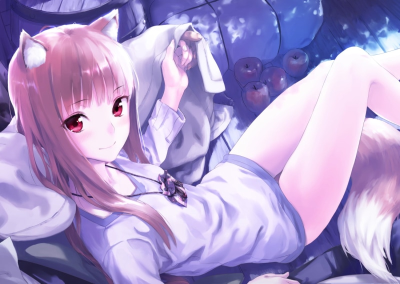 celebration, animal representation, decoration, Holo, still life, anime, representation, pink hair, animal ears, indoors, costume, no people, 720P, art and craft
