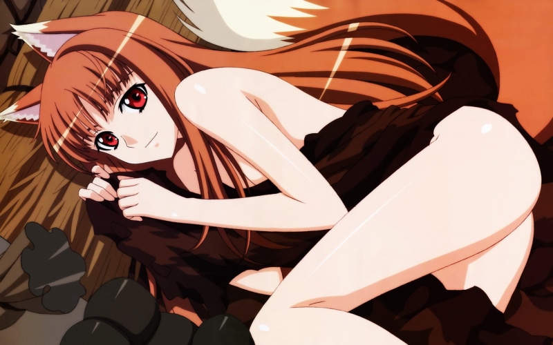 focus on foreground, indoors, animal ears, still life, Spice and Wolf, brown, white color, Okamimimi, character, pattern, anime, animal wildlife, craft