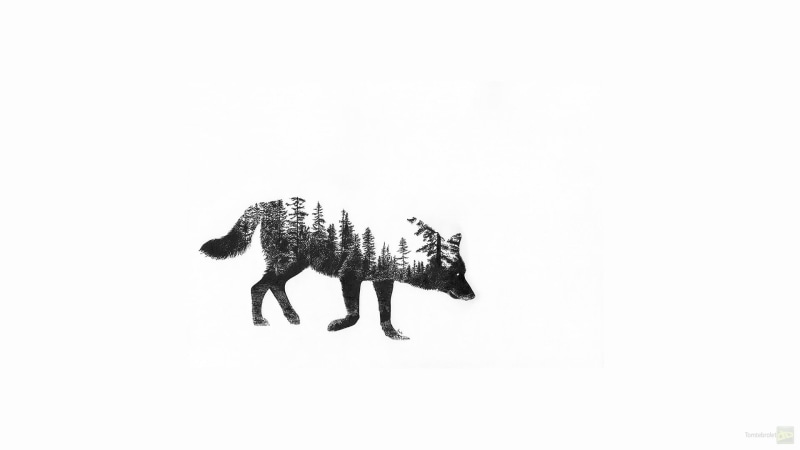 animal wildlife, fantasy art, deer, vertebrate, studio shot, sky, domestic animals, no people, feline, side view, mammal, cat, one animal, dog, copy space