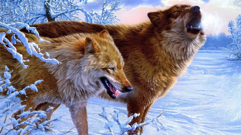 brown, aggression, vertebrate, animals in the wild, artwork, day, snarling, animal, mouth, nature, animal themes, mammal, wolf, one animal, tree, mouth open