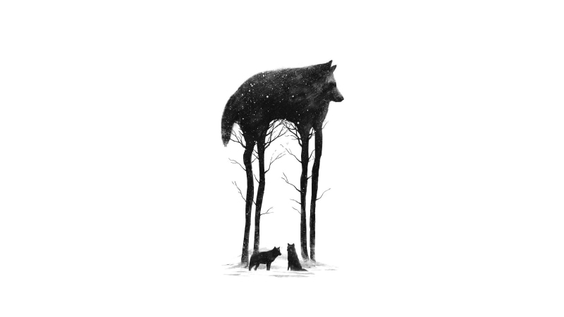 side view, studio shot, vertebrate, one animal, monochrome, domestic, standing, white background, indoors, no people, simple background, minimalism, 1080P