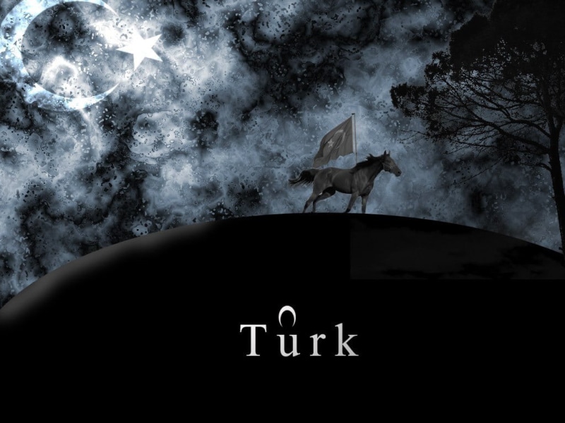  white, 480P, communication, Turkish, nature, Turkey, flying, no people, vertebrate, bird, low angle view, flag, night, outdoors, animal themes