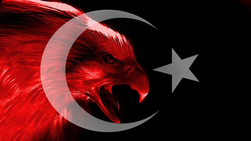 red, dark, evil, bird, one animal, flag, animal wildlife, vertebrate, eagle, 1080P, fear, illustration, black background, indoors, emotion, Turkish, star shape