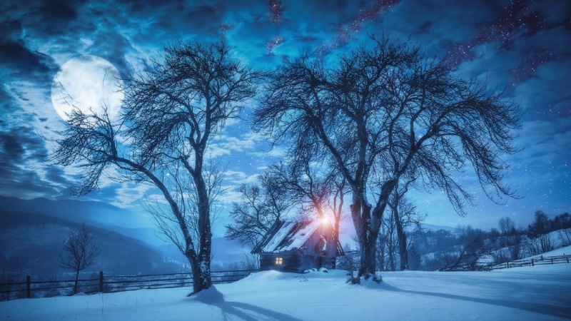 frost, sky, cloud, tree, bungalow, night, fullmoon, snowy, nature, cabin, winter, house, full moon, snow, night sky, 1080P, freezing, landscape, moon