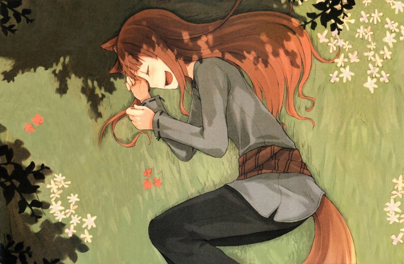 Spice and Wolf, 4K, Okamimimi, Holo
