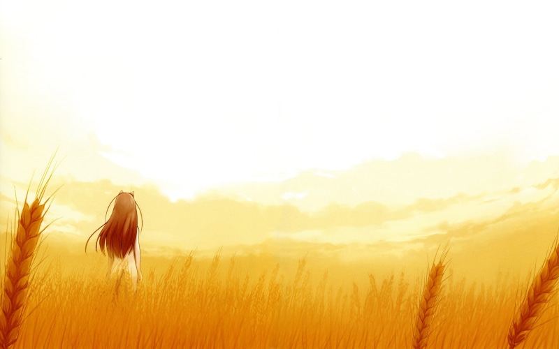 scenics - nature, sunset, Okamimimi, landscape, 1080P, no people, growth, field, agriculture, plant, Holo, beauty in nature, land, cereal plant, tranquil scene