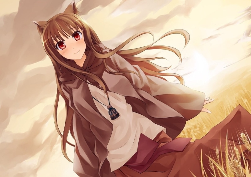 480P, Spice and Wolf, Okamimimi, Holo