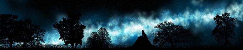 5K, triple, monitor, etoiles, screen, wolf, multiple, loup, stars, multi