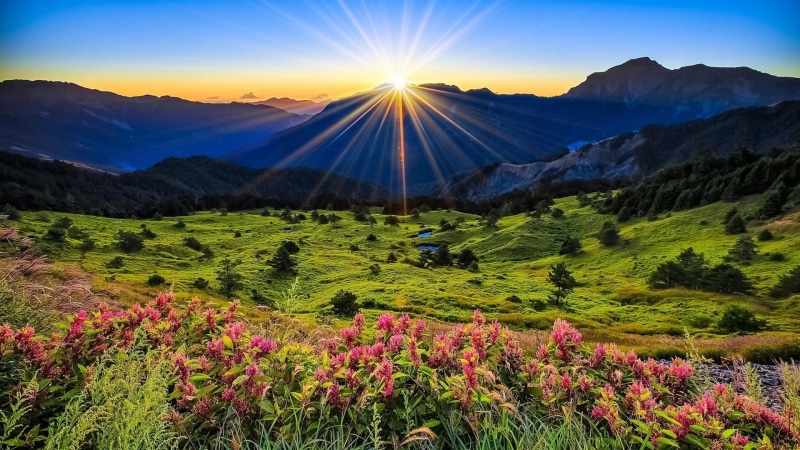 Flowers, Scenery, Meadow, Beautiful, Mountains, Sunrise, 1080P