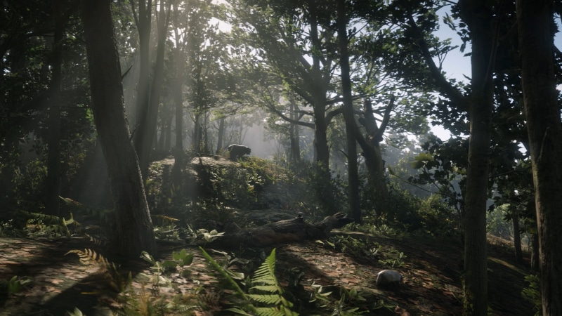 Red Dead Redemption, non-urban scene, video games, trunk, beauty in nature, woodland, Rockstar Games, tree, nature, forest, no people, land, tree trunk
