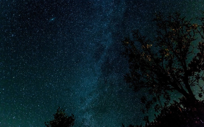 nature, growth, milky way, astronomy, beauty in nature, star, infinity, no people, starry, scenics - nature, plant, tranquil scene, night, stars, low angle view