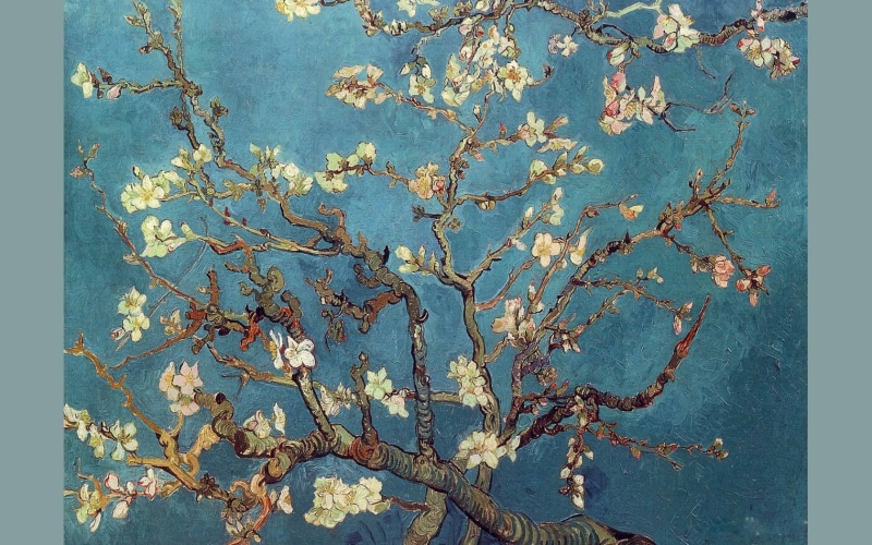 van, vincent, gogh, 720P