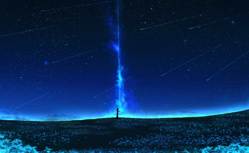 Shooting Star, Silhouette, Anime, Stars, Original, 1080P, Flower